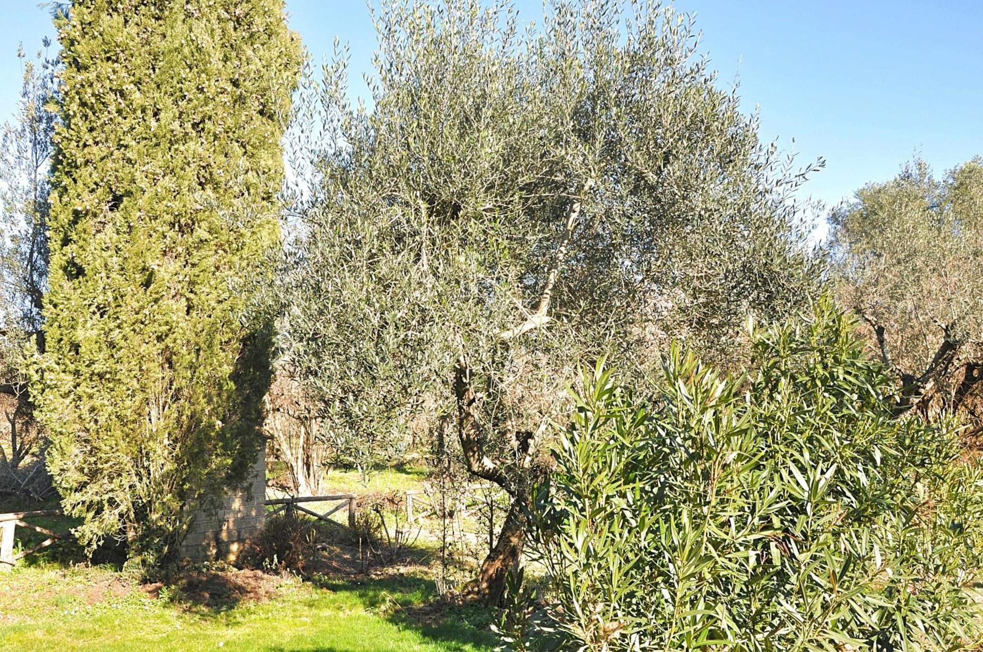 فيلا Montecasciano Primula Capranica المظهر الخارجي الصورة